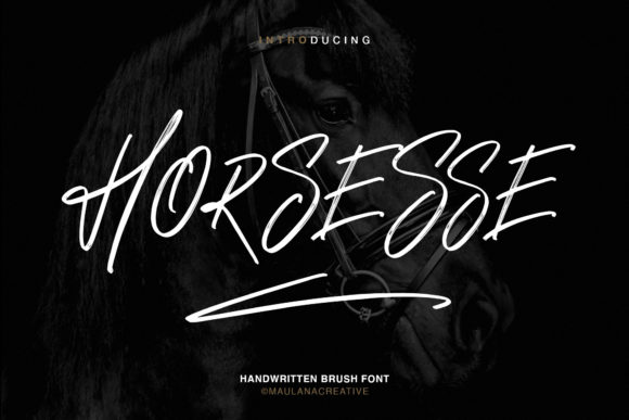 Horsesse Display Font for Small Business Branding
