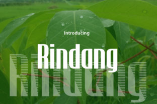 Rindang: A Fresh Display Font for Modern Branding