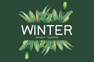 Winter Display Font for Professional Business Branding